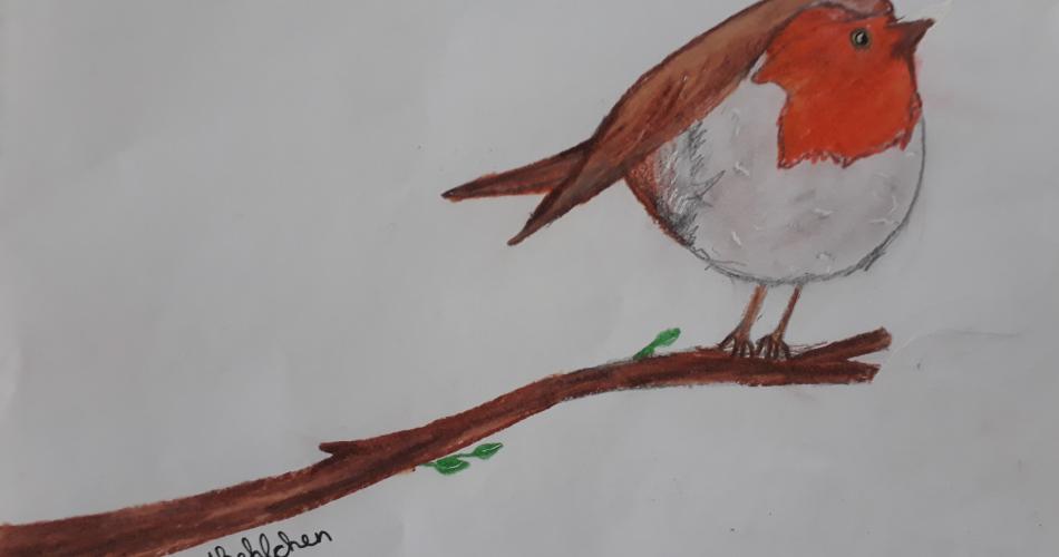 Vogel1a22