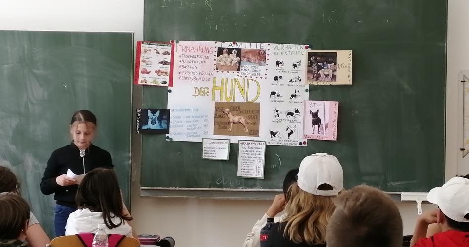 Präsentation Hund